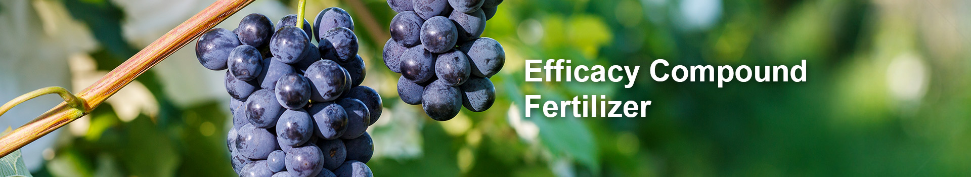 Efficacy Compound Fertilizer