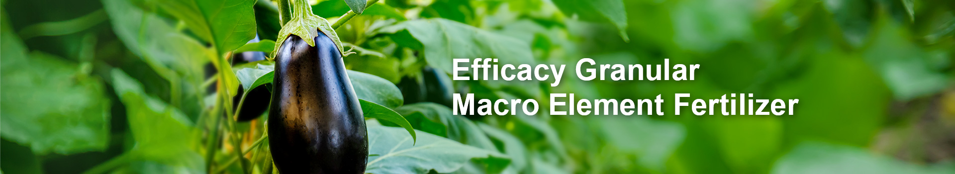 Efficacy Granular Macro Element Fertilizer