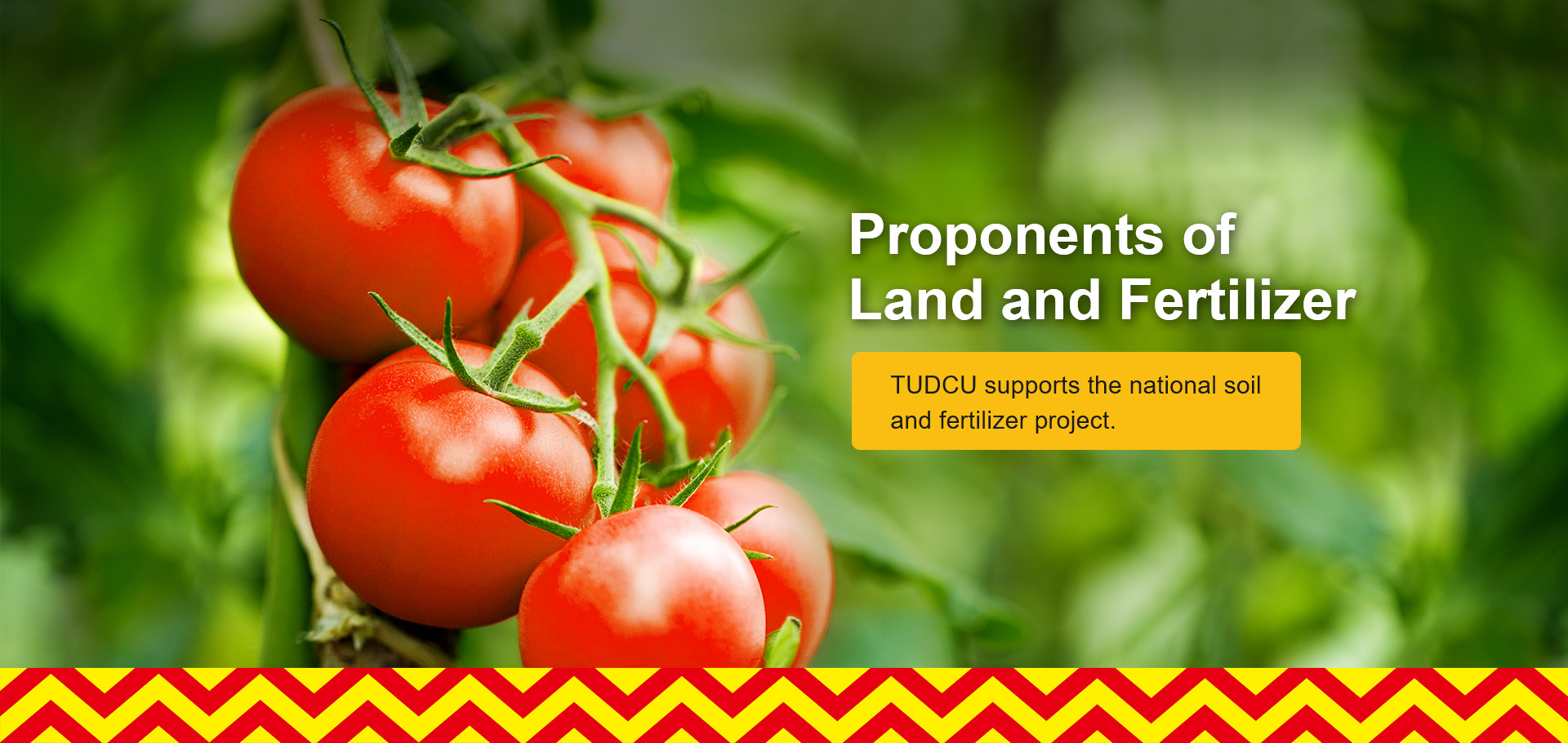TUDCU supports the national soil and fertilizer project.