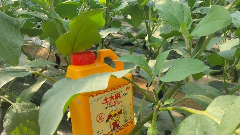 Foliar fertilizer is what fertilizer? Uncle Wang case