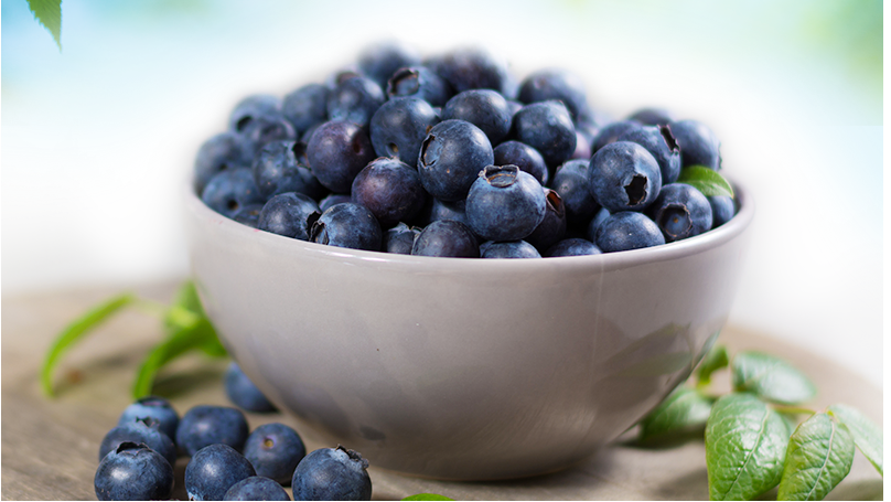 Blueberry cultivation