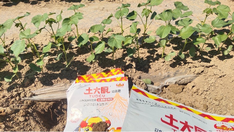 Imported water soluble fertilizer-Native chef cotton