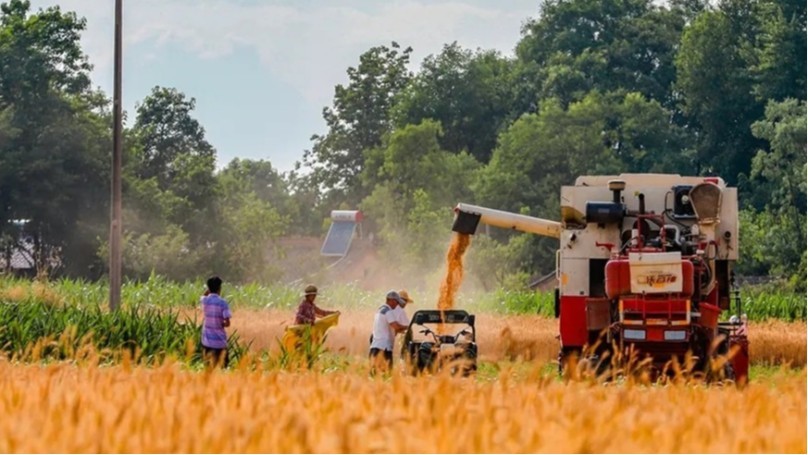 Leaf fertilizer which good-wheat