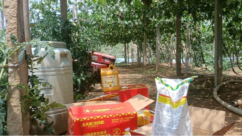 Water-soluble fertilizer-Soil chef fertilization