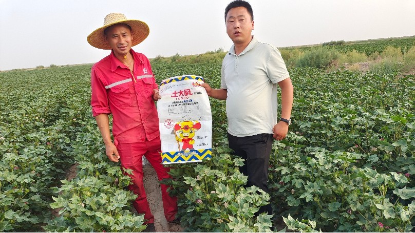 Water-soluble fertilizer-Xinjiang users