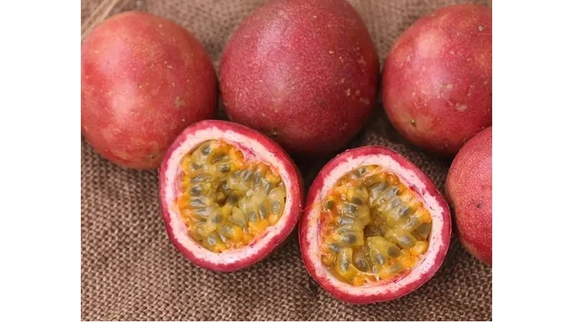 Water-soluble fertilizer-Passion fruit.webp