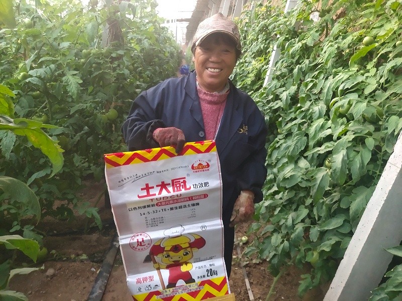 A native cook is fat-Aunt Qi's tomato shed